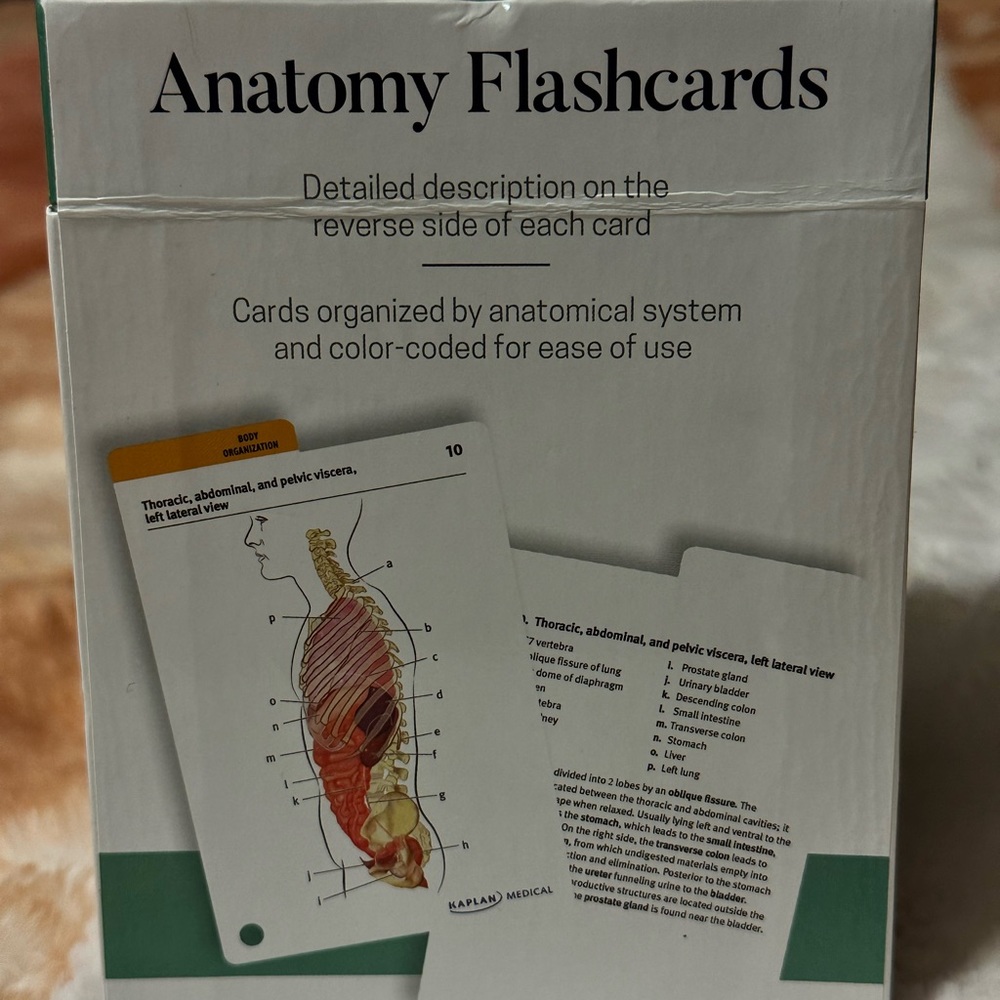 Anatomy Flashcards - Picture 4 of 4